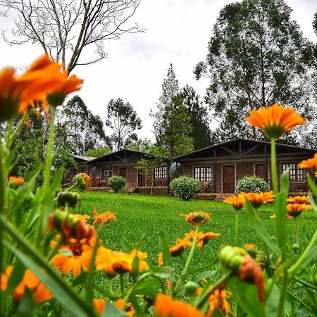 Hotel Las Azaleas Jardín América エクステリア 写真