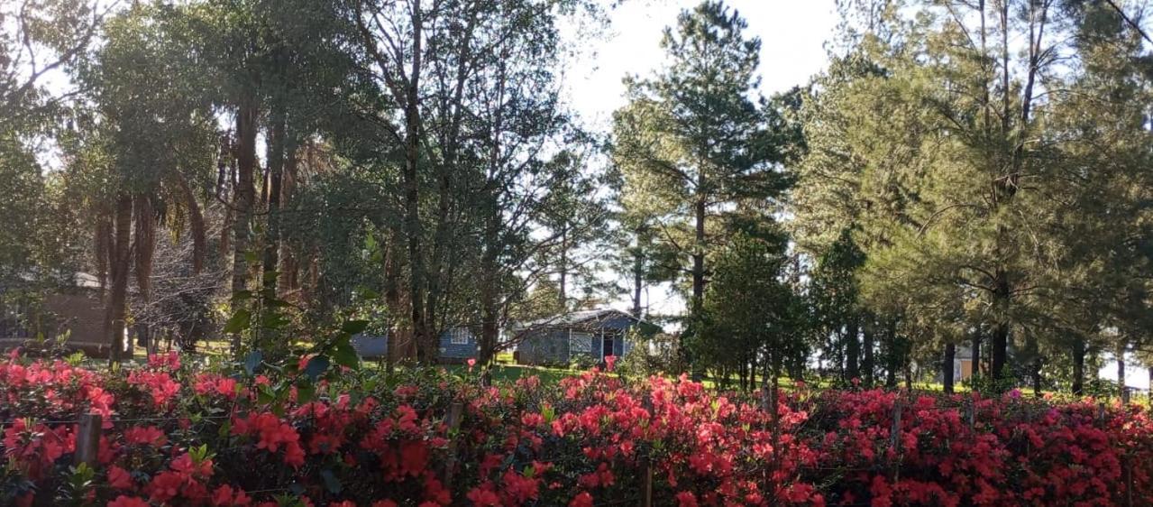 Hotel Las Azaleas Jardín América エクステリア 写真
