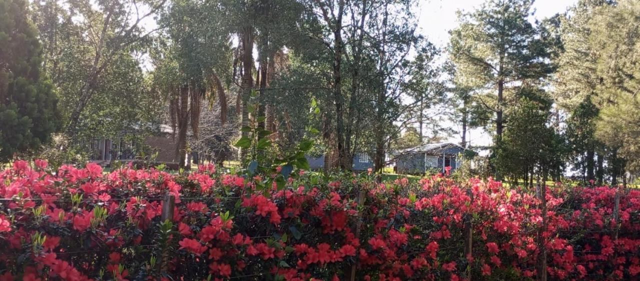 Hotel Las Azaleas Jardín América エクステリア 写真