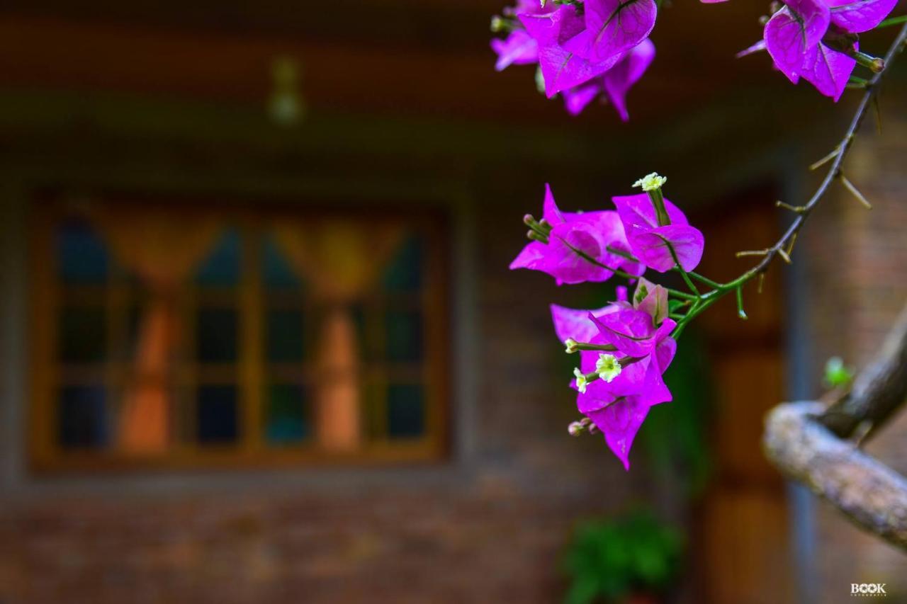 Hotel Las Azaleas Jardín América エクステリア 写真